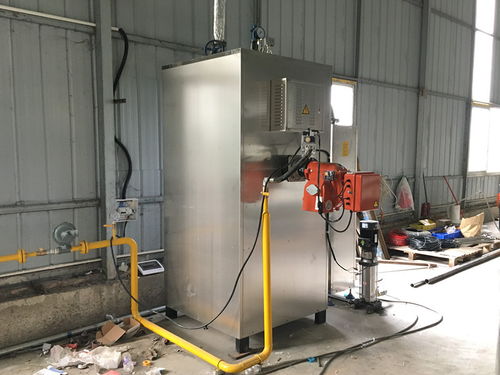 d級蒸汽鍋爐需要報(bào)備嗎