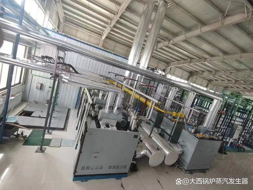 燃?xì)庹羝l(fā)生器設(shè)備5月份最新價(jià)格