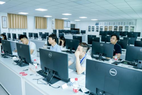 第十一屆全國大學生電子商務“三創”挑戰賽河南賽區選拔賽在河南牧業經濟學院圓滿落幕