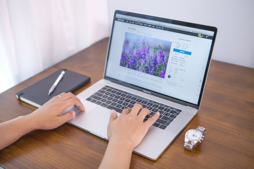 營銷型網站建設的關鍵要點與軟件應用指南