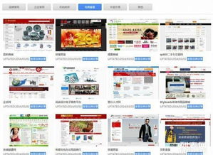 大泉州地區(qū)網(wǎng)站建設(shè)與網(wǎng)店開設(shè) 5000+成功案例，助力企業(yè)數(shù)字化升級