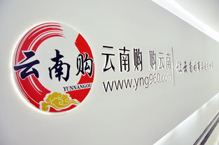 云南購，購云南 奧遠科技助力云南商品與品牌走向世界